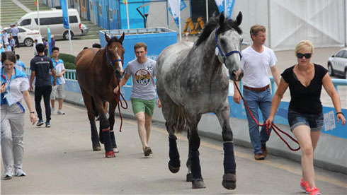 JOJ de 2014 : les chevaux de course sont arrivés à Nanjing