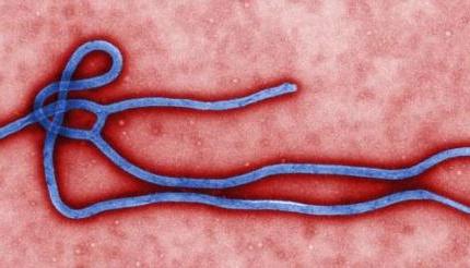 Une société chinoise de génétique est en train de mettre au point un réactif pour l'Ebola