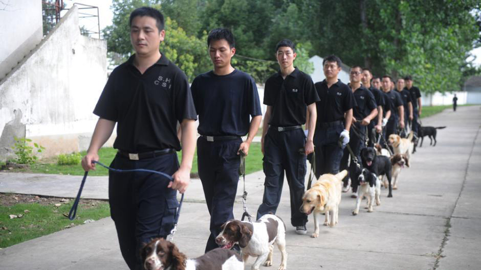 JOJ de Nanjing 2014 : le centre de dressage pour chiens policiers