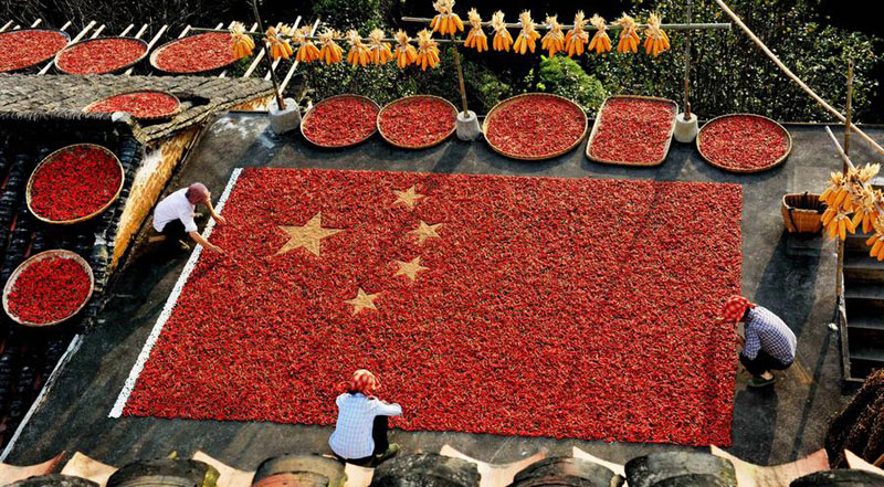 Des agriculteurs du comté de Wuyuan, dans la province du Jiangxi, recréent le drapeau national avec des piments et du maïs, le 27 septembre 2014. [Photo : Xinhua]