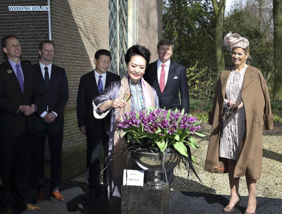 Cathey, la tulipe de Peng Liyuan, va fleurir dans le jardin botanique de Beijing