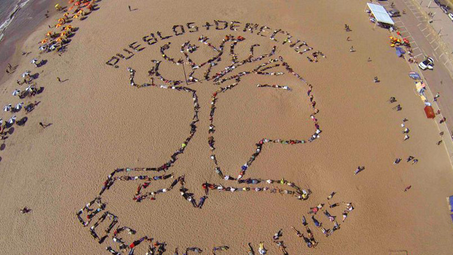 Pérou : des militants écologistes dessinent un arbre sur la plage