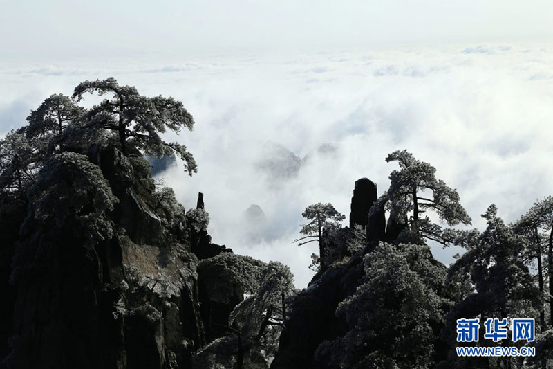 Les paysages givrés du mont Huangshan