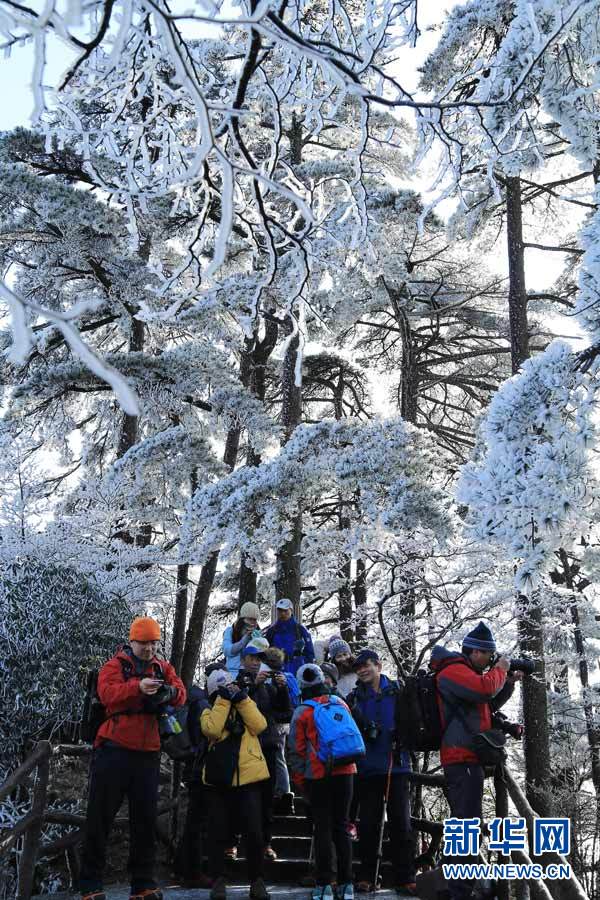 Les paysages givrés du mont Huangshan Les paysages givrés du mont Huangshan