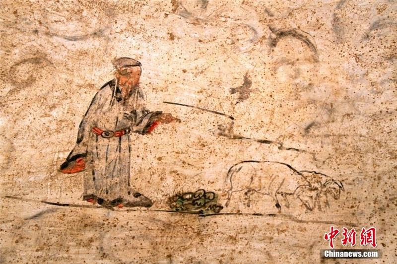 Découverte de fresques dans une tombe de la dynastie Yuan au Shaanxi