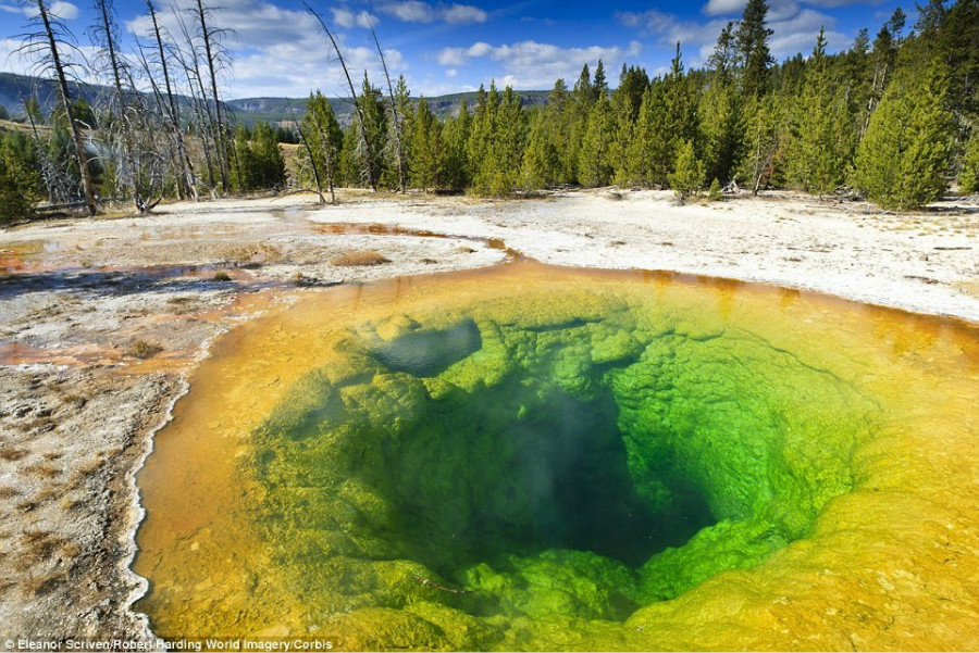 La source chaude du parc de Yellowstone devrait sa couleur à la pollution