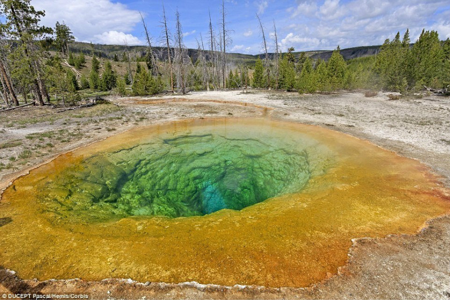 La source chaude du parc de Yellowstone devrait sa couleur à la pollution