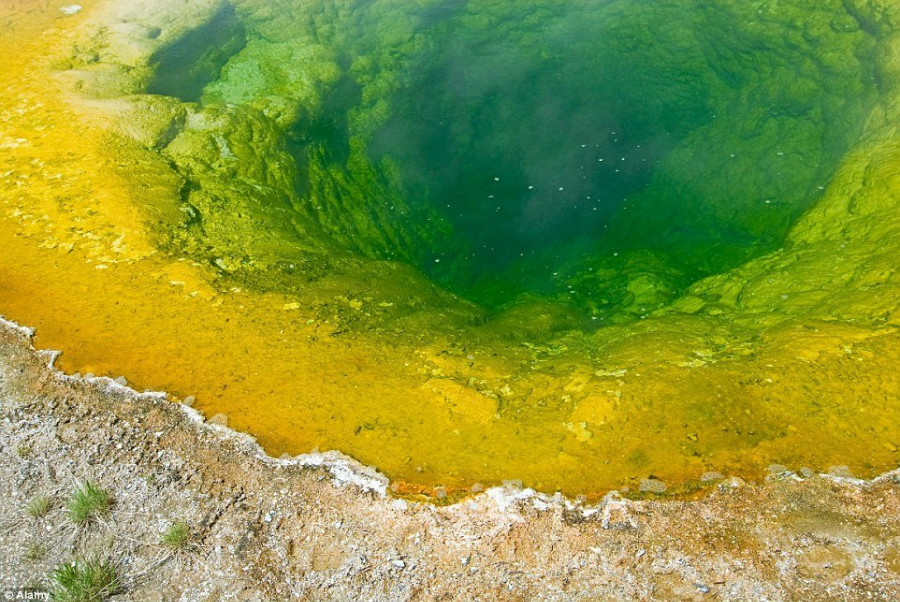 La source chaude du parc de Yellowstone devrait sa couleur à la pollution