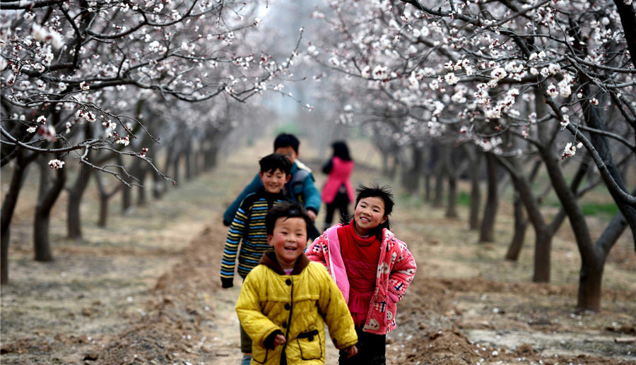 Les fleurs du printemps s'épanouissent en Chine