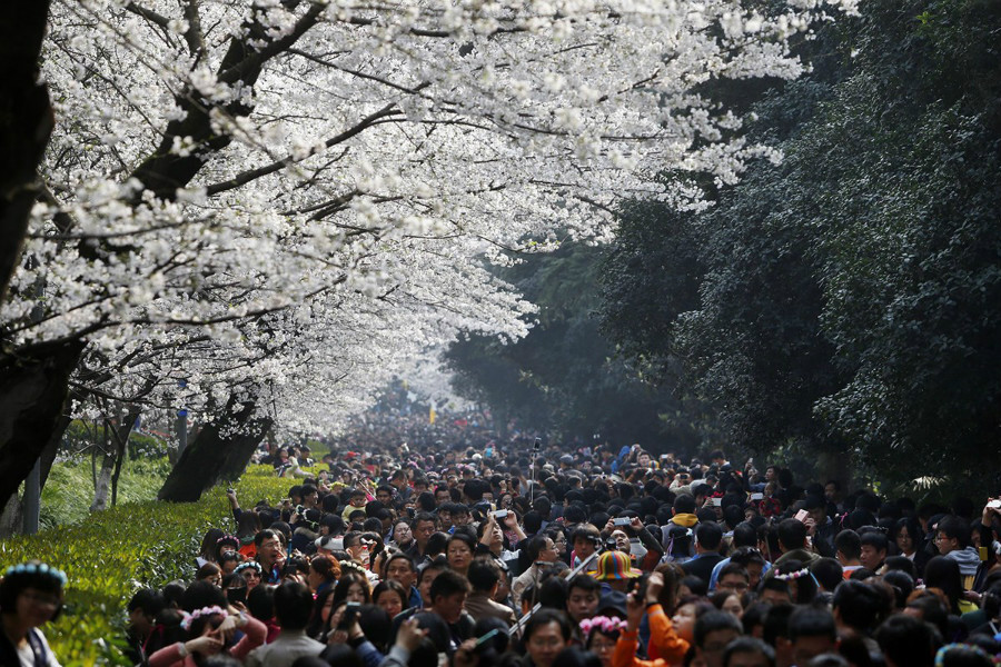 Il a fait beau ce 21 mars à Wuhan, dans la province du Hubei (sud), pour le premier week-end depuis la floraison des cerisiers. 