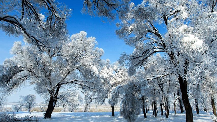 Les plus belles images de Zhangjiakou sous la neige