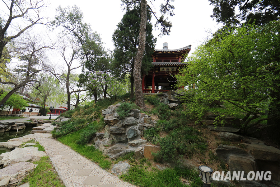 Beijing : les jardins de la Diaoyutai State Guesthouse au printemps