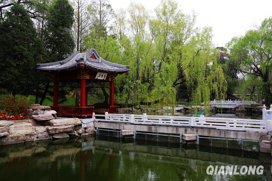 Beijing : les jardins de la Diaoyutai State Guesthouse au printemps