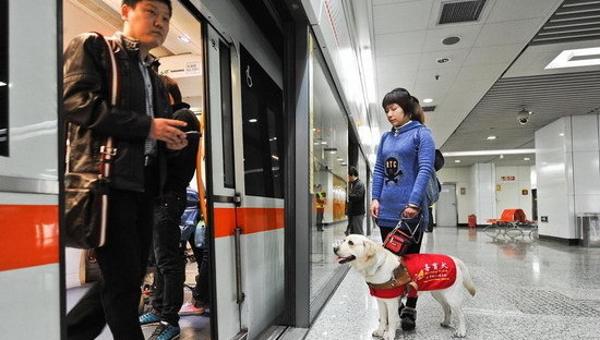 Les chiens guides devraient-ils être permis dans le métro?