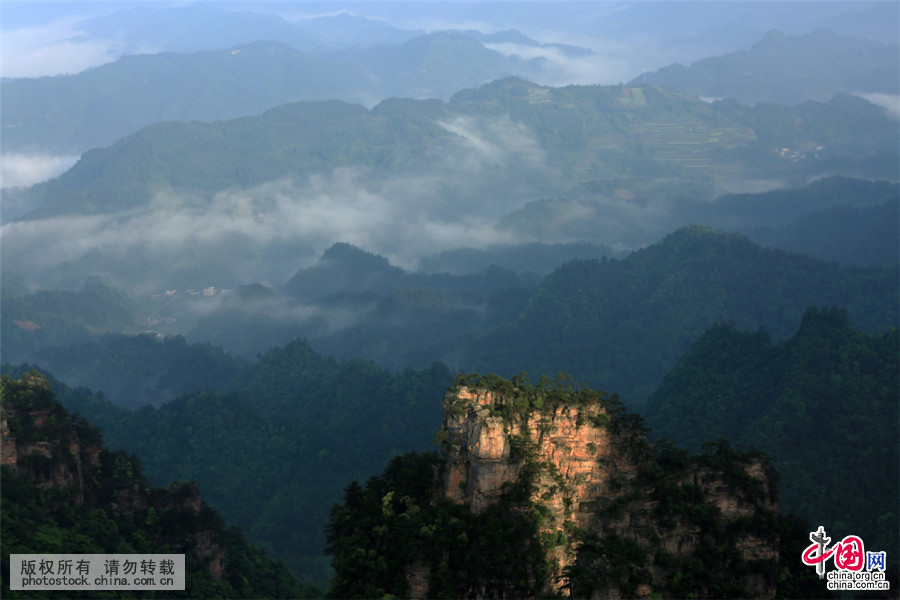 Photos : les sommets majestueux de Zhangjiajie dans les nuages