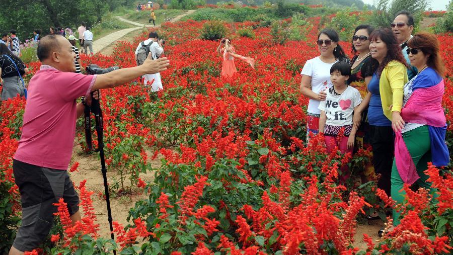 Beijing : une mer de fleurs attire les touristes à Sihai