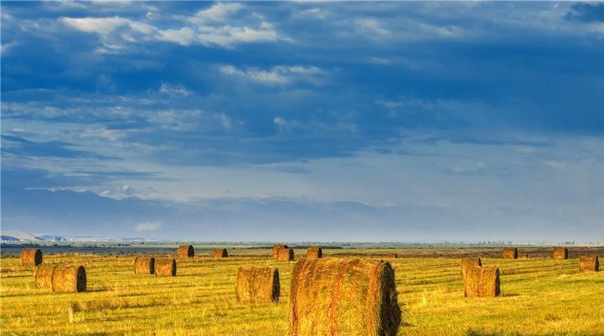 Les rouleaux d'herbe : un magnifique paysage du Xinjiang