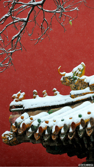 La Cité interdite sous la neige, un ravissant contraste de couleurs
