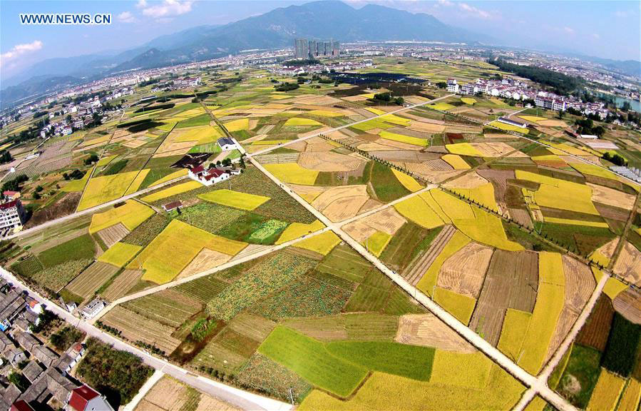 Photo aérienne prise le 17 octobre 2015, montrant les paysages du village de Dongbao, situé dans le canton de Baita, dans la ville de Taizhou (province du Zhejiang, est de la Chine).