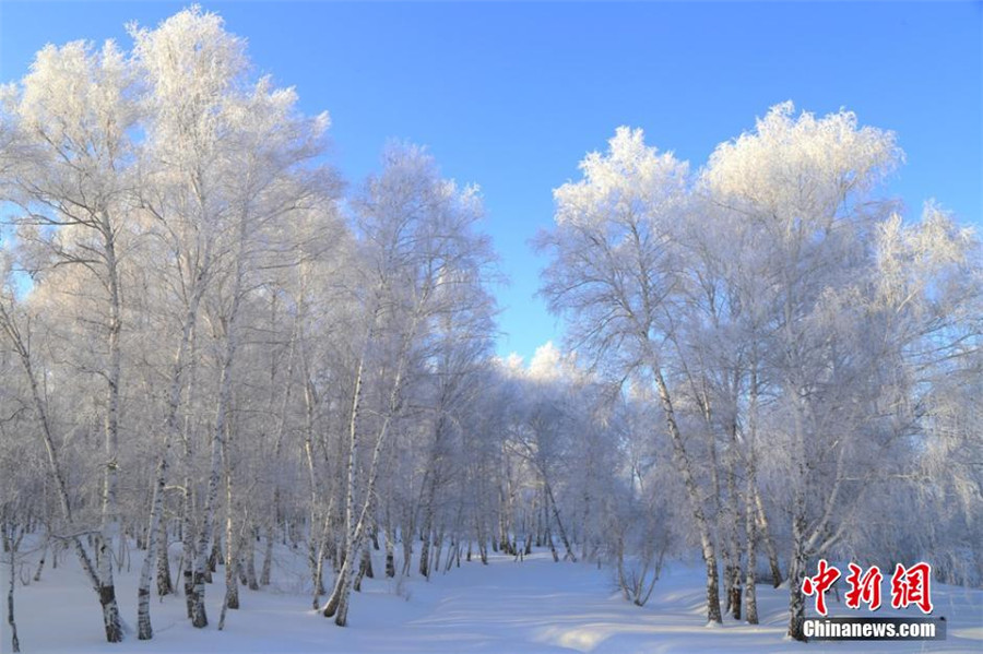 Ces photos ont été prises le 4 janvier près d'Altay dans la province chinoise du Xinjiang (nord-ouest) après d'importantes chutes de neige.