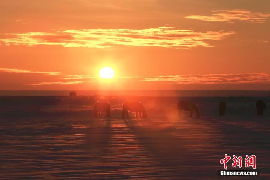 Un lever de soleil éblouissant à la frontière sino-mongole