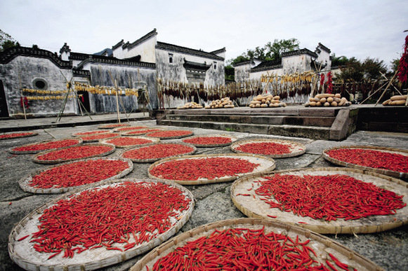 Un village qui ne sombre pas dans l'Anhui