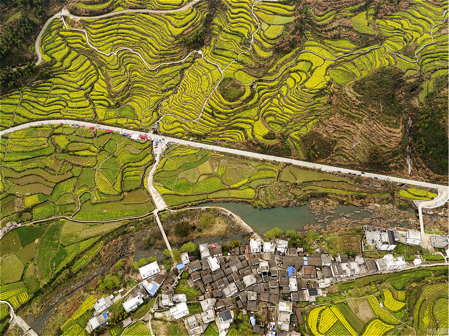 Vu du ciel : la floraison dans les champs de colza en terrasses de Wuyuan Vu du ciel : la floraison dans les champs de colza en terrasses de Wuyuan
