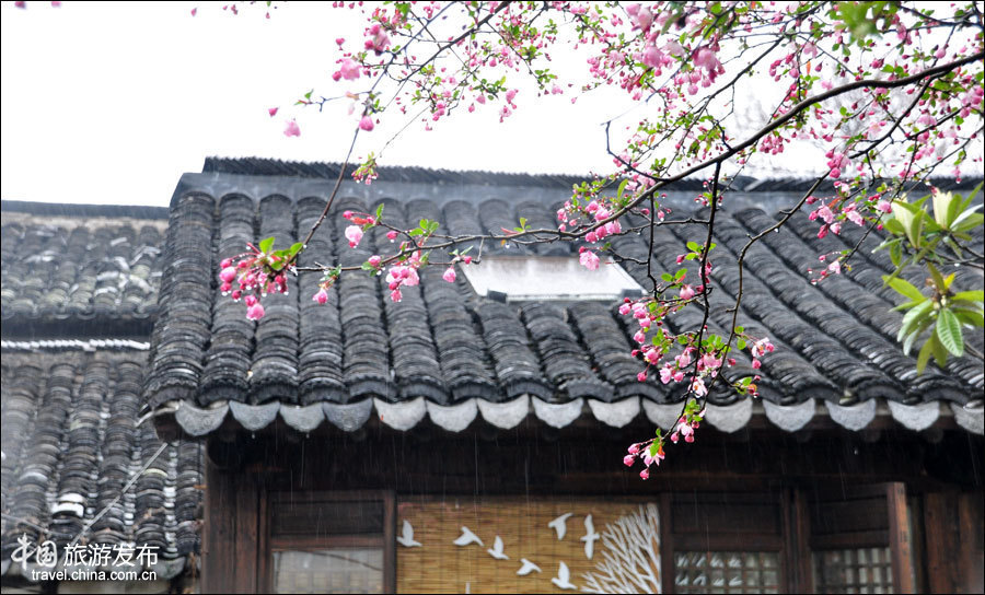 Galerie : les vues pittoresques de la vieille ville de Zhouzhuang au printemps