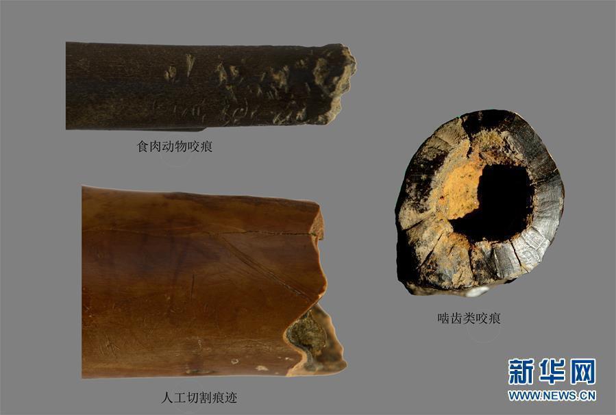 Les dix plus belles découvertes archéologiques faites en Chine en 2015