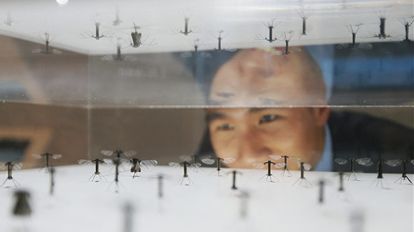 Les Robobees font le buzz !