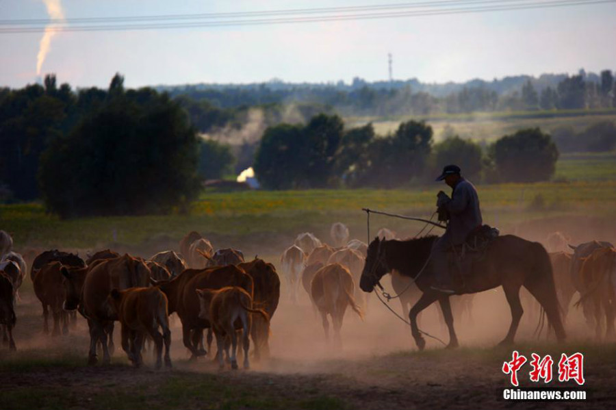 Haba au Xinjiang, un paradis sur terre !