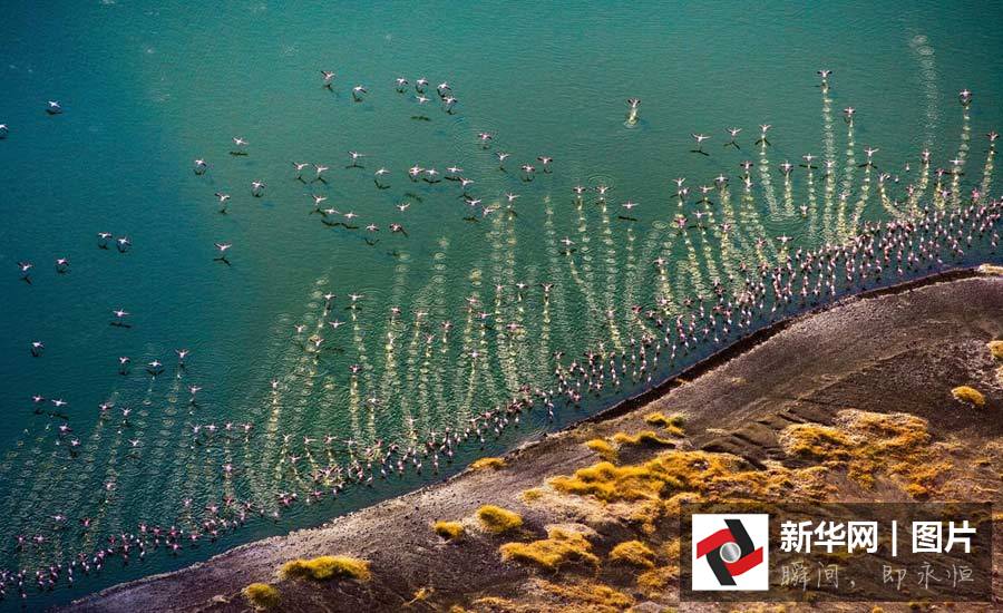 Photos : les animaux sauvages d'Afrique vus du ciel Photos : les animaux sauvages d'Afrique vus du ciel