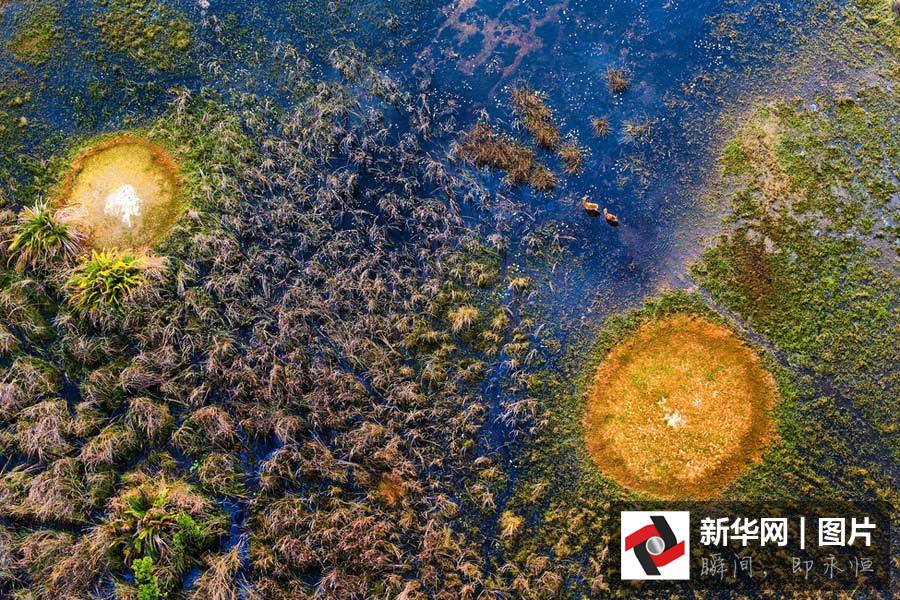 Photos : les animaux sauvages d&apos;Afrique vus du ciel