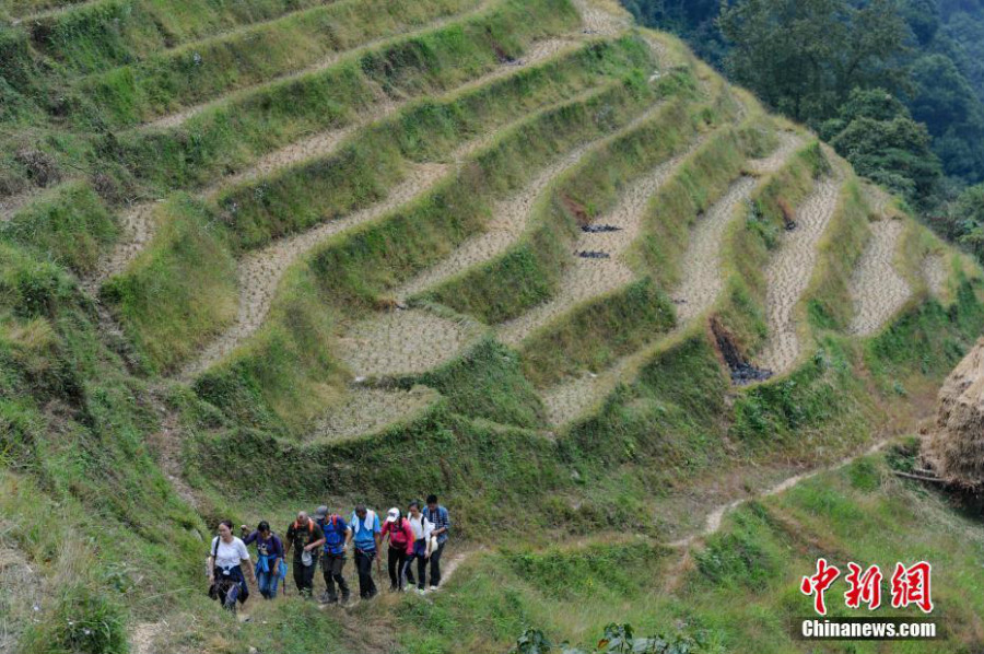 Des randonneurs chinois et fran?ais traversent le village miao du Guizhou