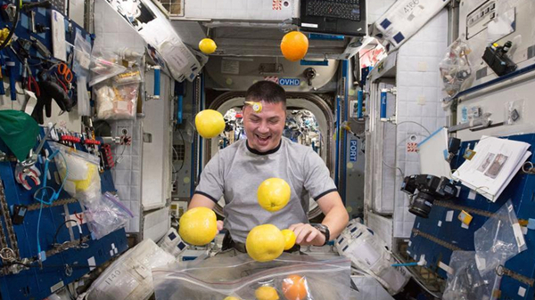 Que mangent les astronautes dans l'espace ?