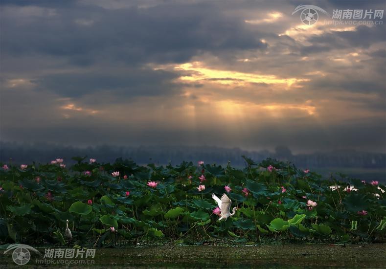 Concours de photographie de la zone humide du Lac Songya