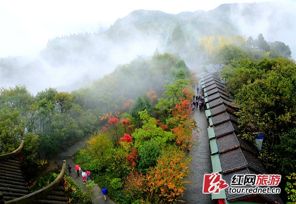 La splendeur des feuilles multicolores de Wulingyuan à Zhangjiajie