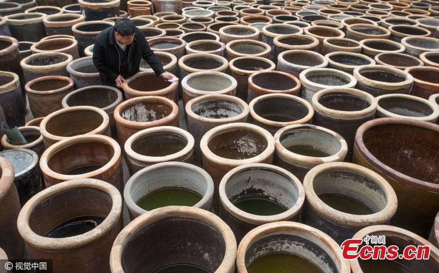 Un agriculteur dépense plus d&apos;un million d&apos;euros dans l&apos;achat de 100 000 objets anciens