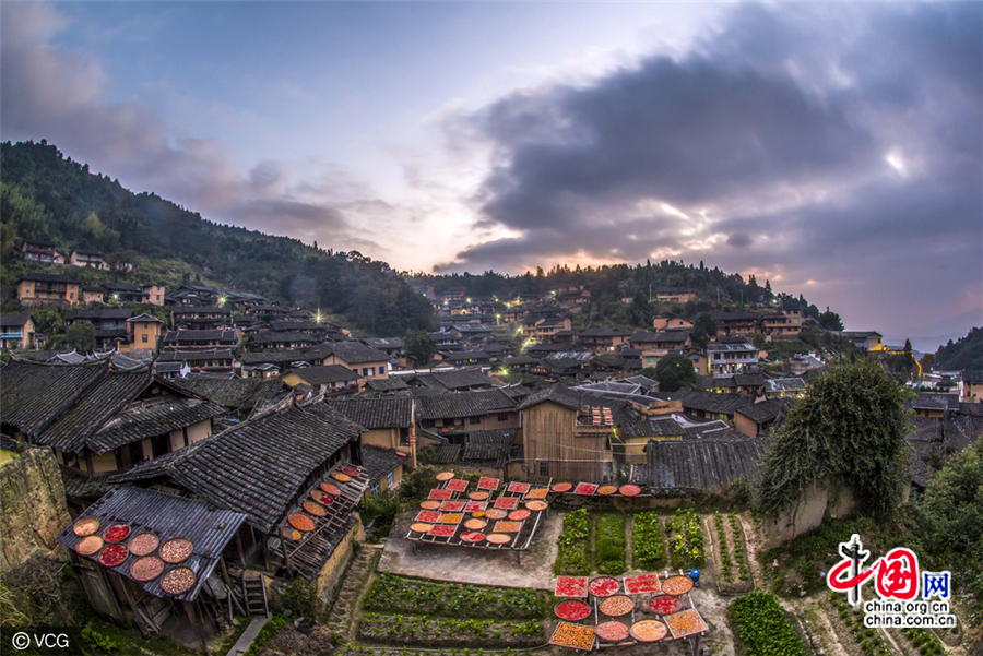 Fujian : la saison du séchage shaiqiu du village de Guifeng