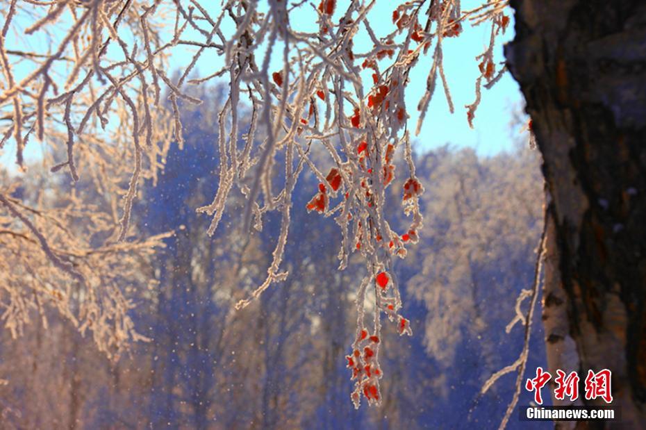 En images : les merveilles de la glace dans le Xinjiang