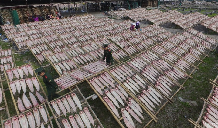 Photos aériennes : séchage du poisson pour accueillir le Nouvel An chinois à Wenzhou