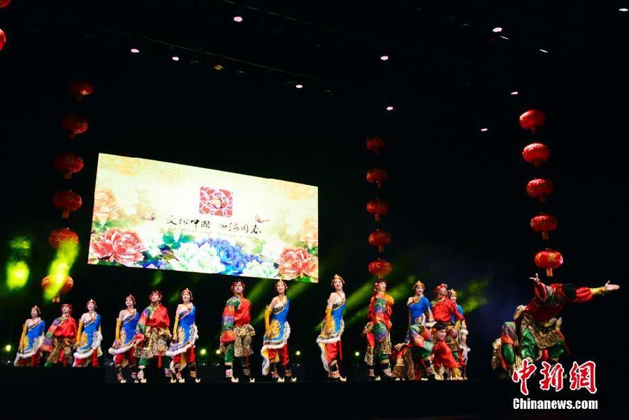 Gala « Culture de Chine et fête du Printemps » à Paris