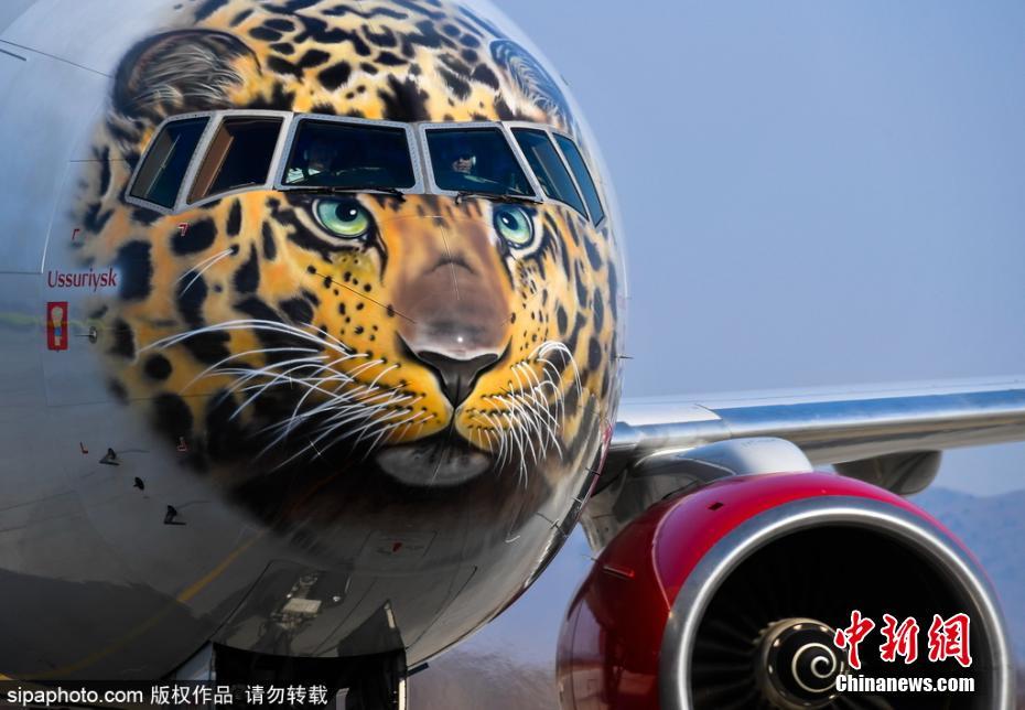 La Russie promeut la protection du léopard en le peignant sur un avion