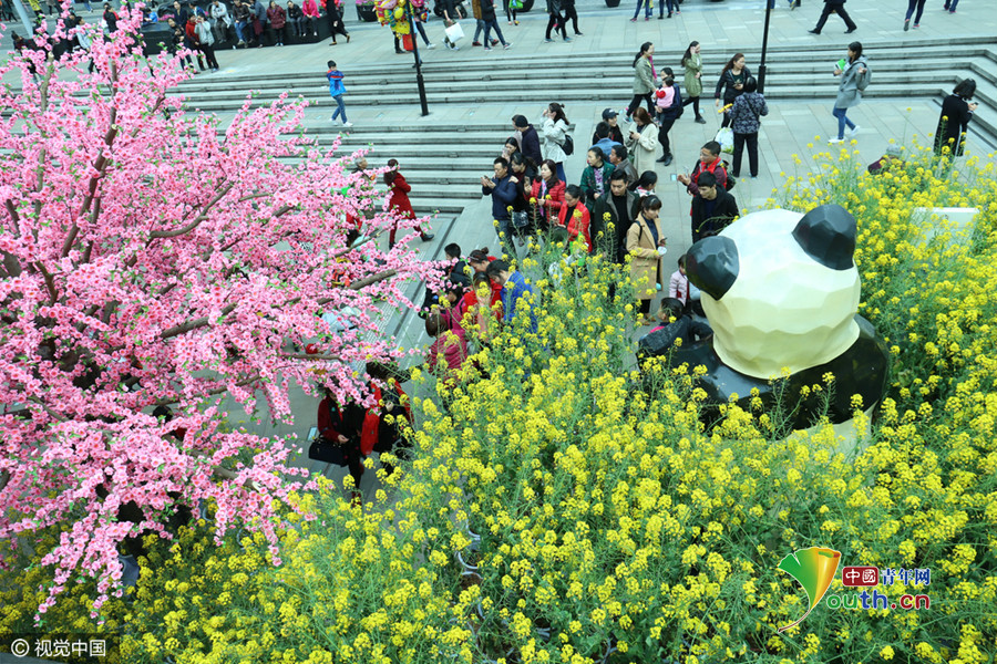 Chongqing : 3000 m2 de fleurs de colza s&apos;épanouissent dans un centre commercial