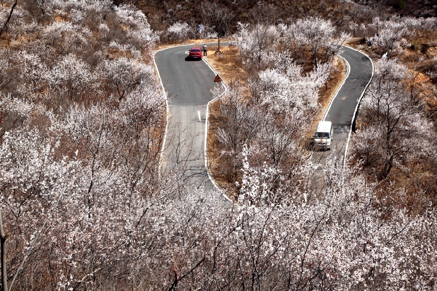 Beijing : les sept plus beaux itinéraires pour un voyage en voiture au printemps