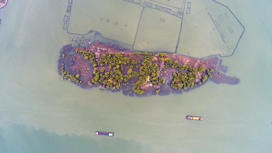 Vues aériennes d'une île en forme de poisson dans l’est de la Chine