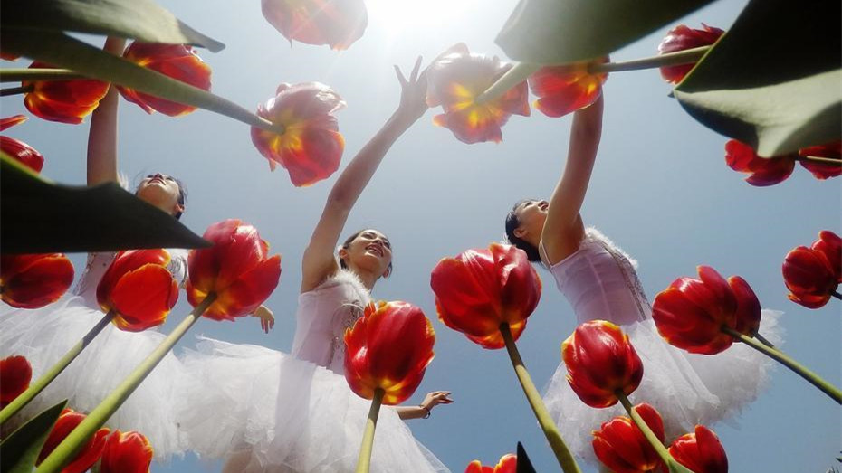 Changsha : danse classique au milieu d’une mer de fleurs