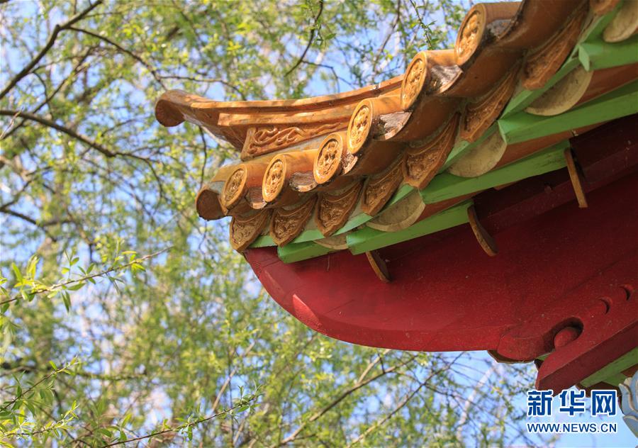 Découvrez les paysages printaniers du jardin traditionnel chinois de Zurich
