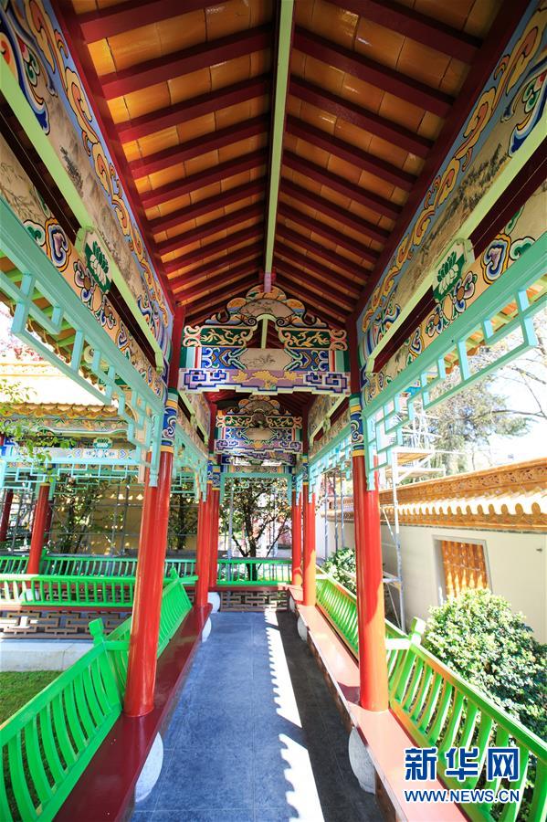 Découvrez les paysages printaniers du jardin traditionnel chinois de Zurich