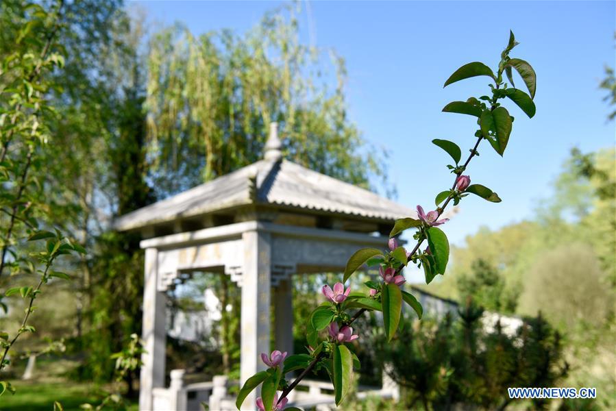 En photos : le Jardin Yili, près de Paris
